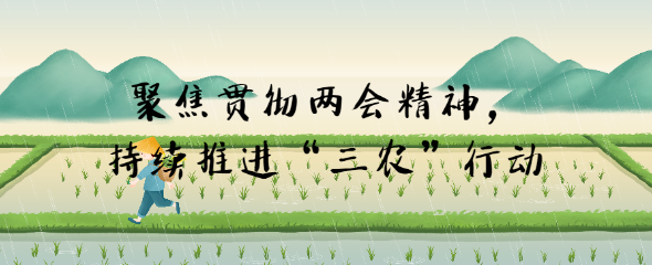 聚焦貫徹兩會精神，持續推進“三農”行動