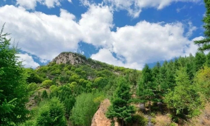 從碳匯交易到生態旅游：蒼穹數碼探索生態修復規劃實施新路徑